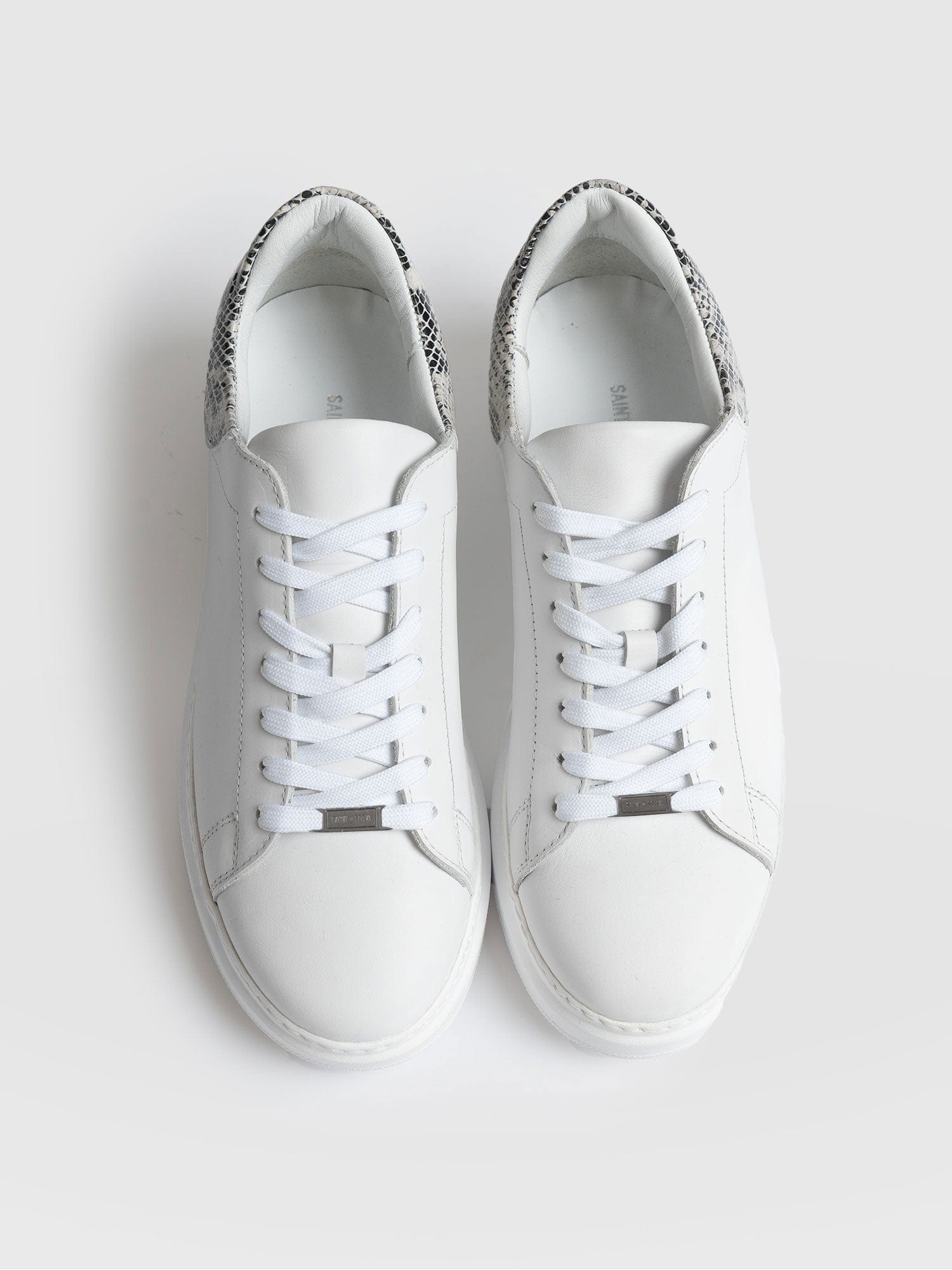 Hampstead Trainer - Snake
